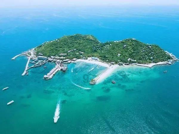 垫江县人民医院马红柳荣获重庆市第六届健康科普作品征集暨讲解技能大赛视频类一等奖