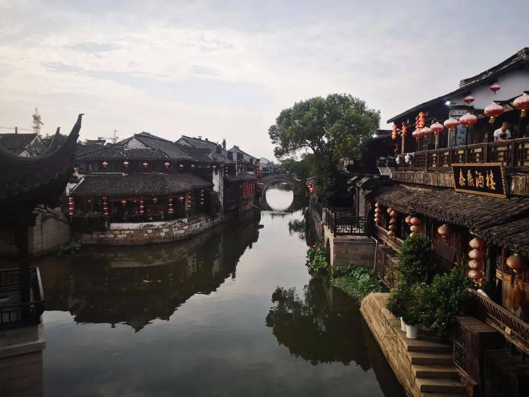 破碎的动物图形